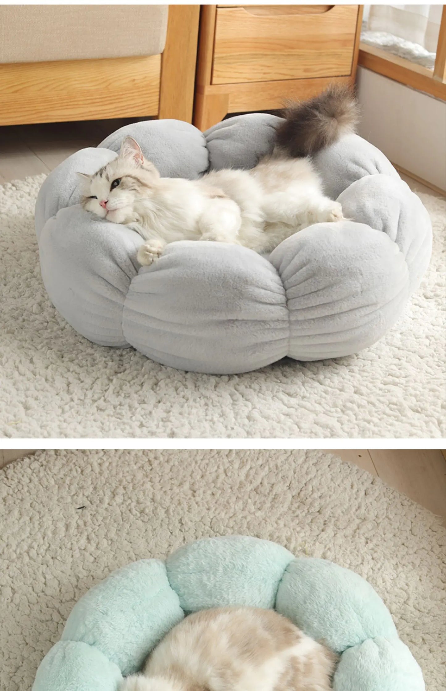Essential Dog Gear – Universal Washable Cat And Bed