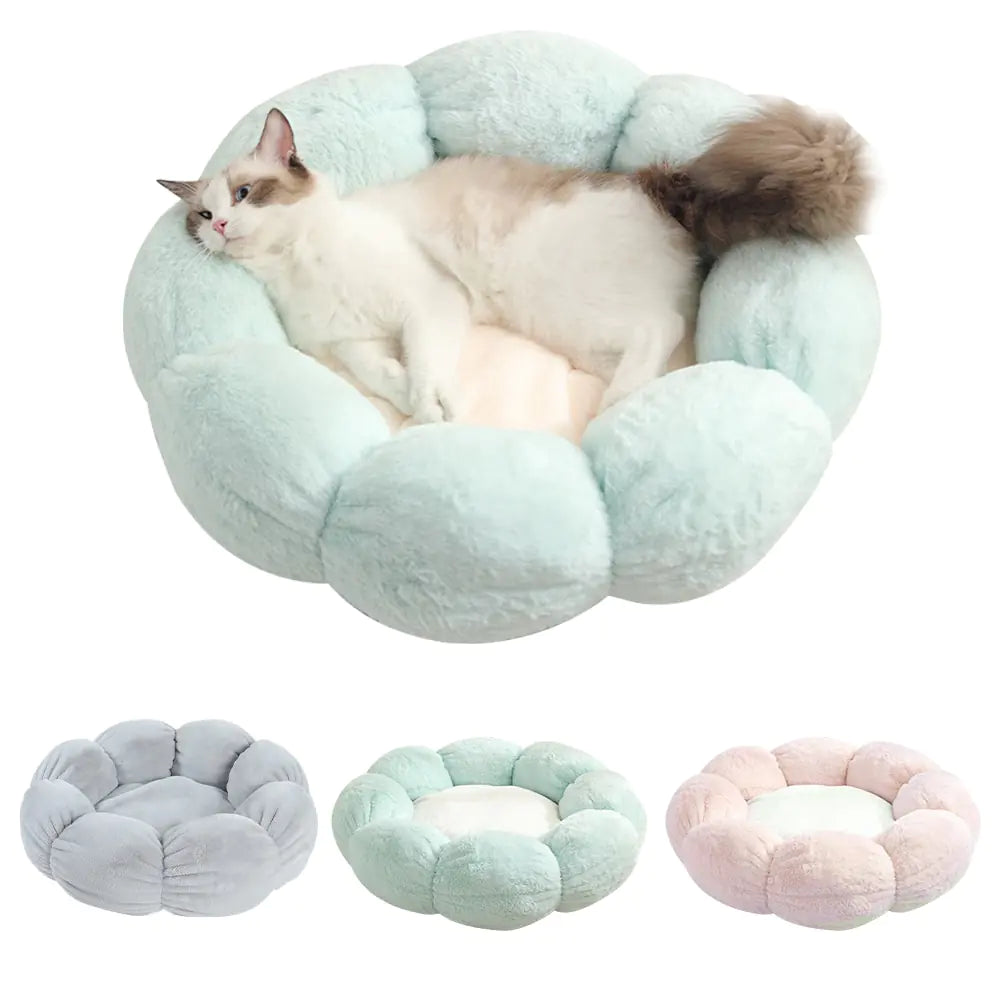 Essential Dog Gear – Universal Washable Cat And Bed