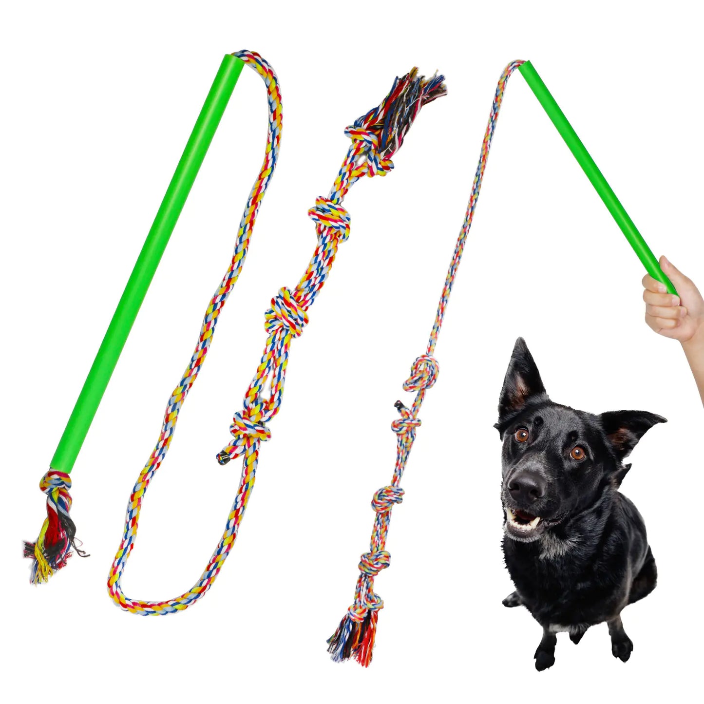 Essential Dog Gear – Training Pole For Pet Supplies