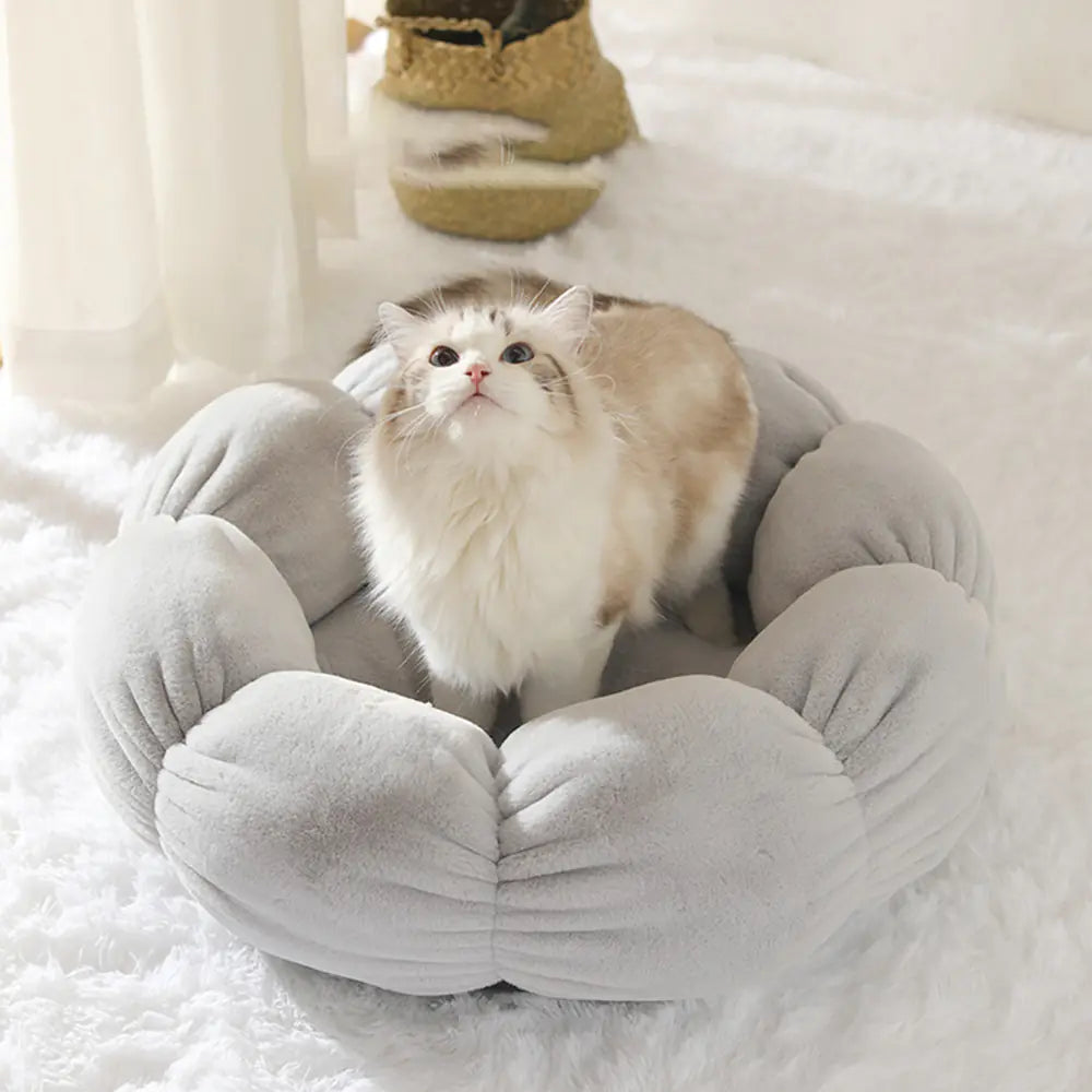 Essential Dog Gear – Universal Washable Cat And Bed