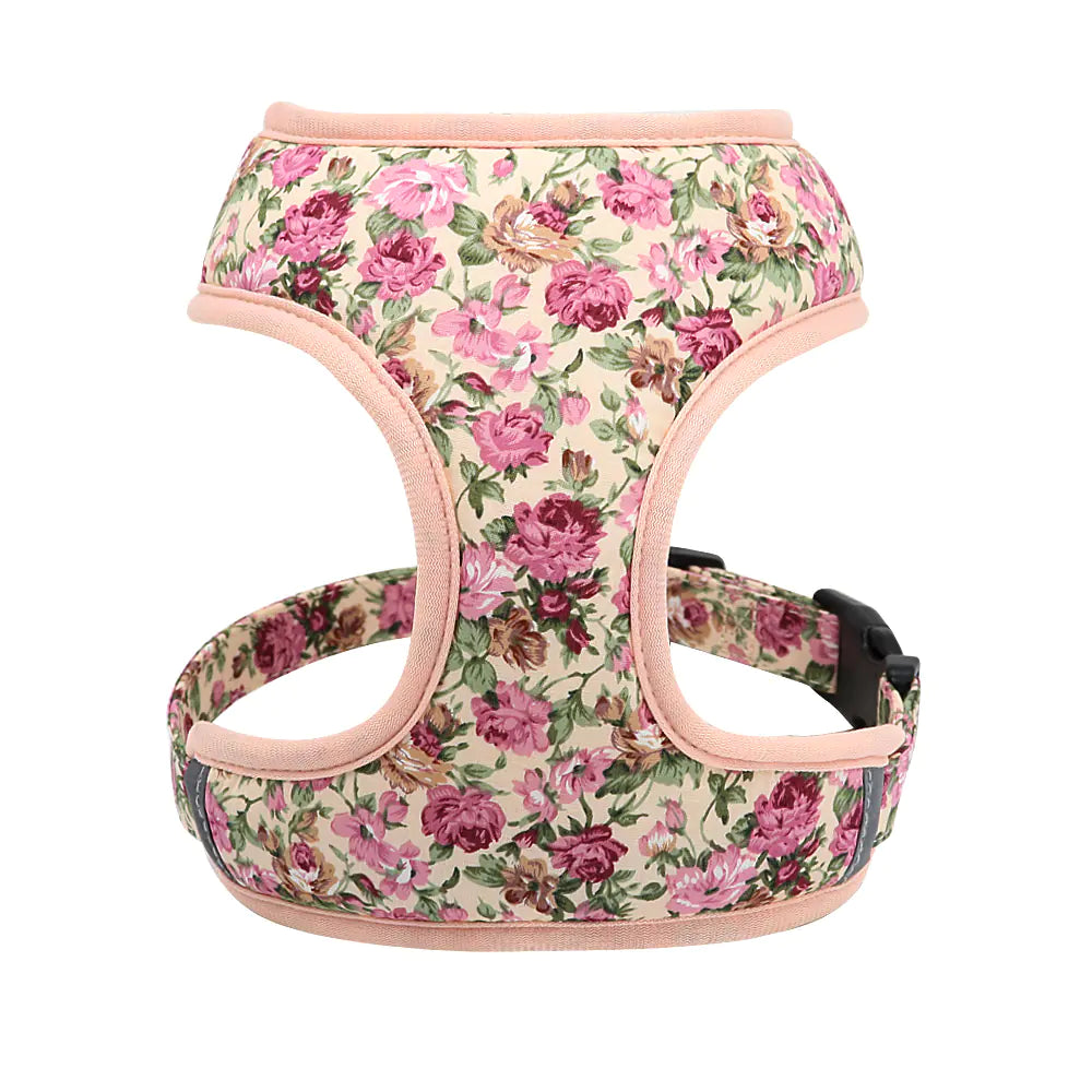 Adjustable Dog Collar – Leash For Shiba Inu & Pomeranian Puppies