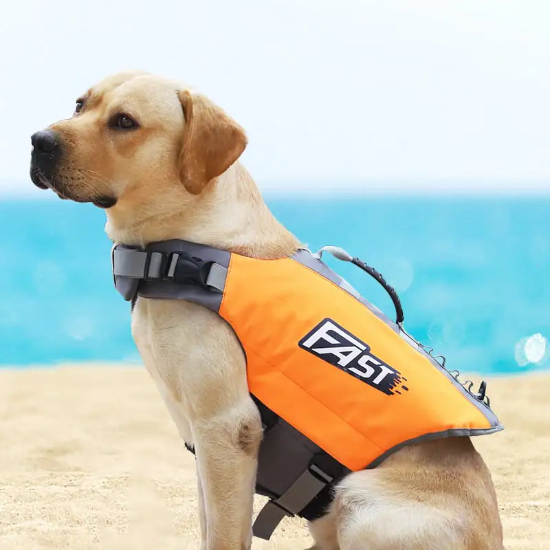 Essential Dog Gear – Reflective Printed Life Jacket For Swimming