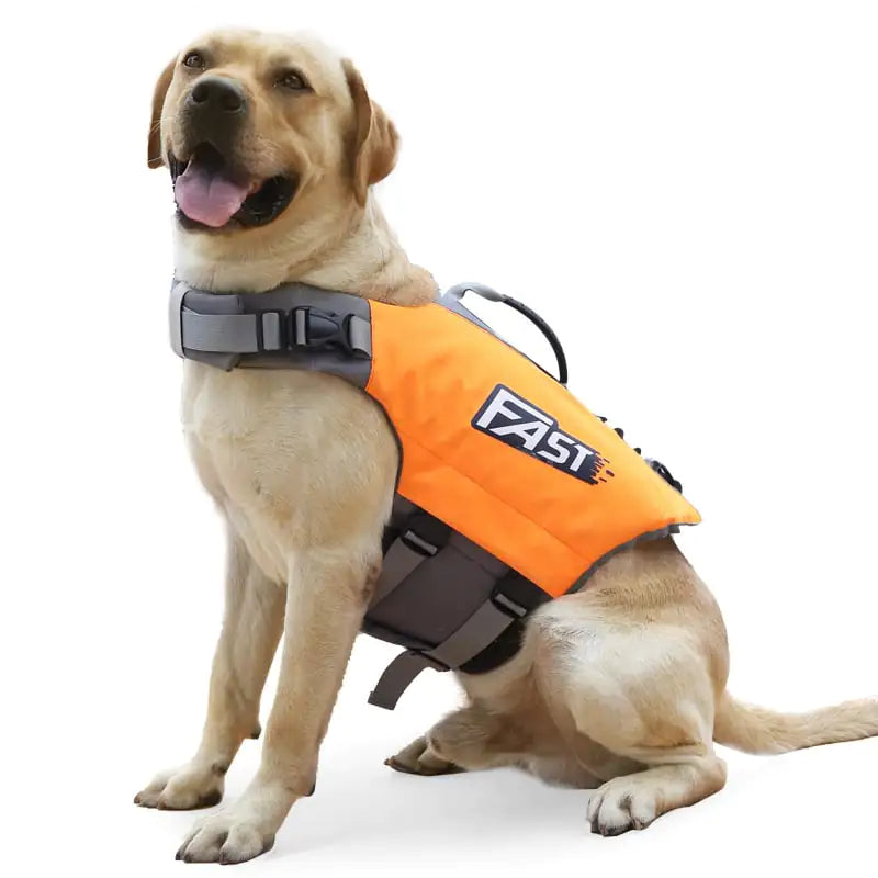 Essential Dog Gear – Reflective Printed Life Jacket For Swimming