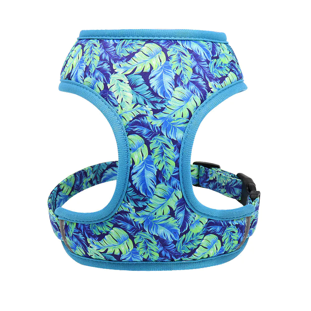 Dog Leash for Shiba Inu & Pomeranian Puppies