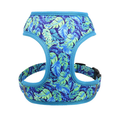 Dog Leash for Shiba Inu & Pomeranian Puppies