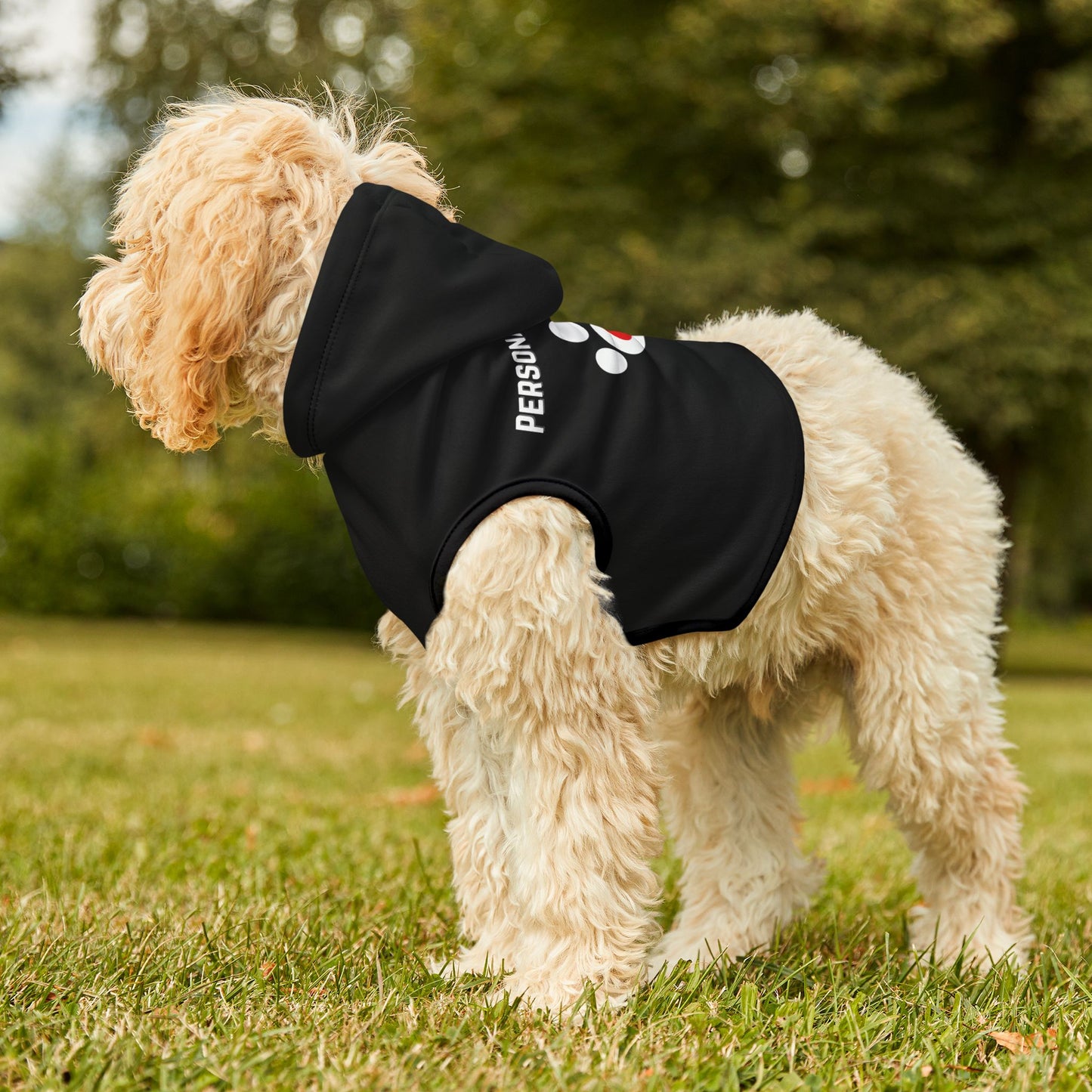 Pet Hoodie- Personal Trainer