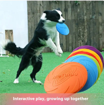 Interactive Dog Toy – Rubber  Frisbee Outdoor Toy