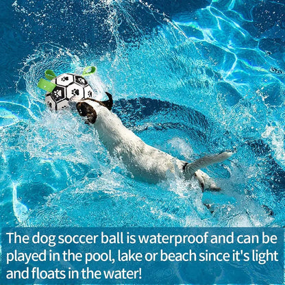 Interactive Dog Toy – Soccer Ball Toy