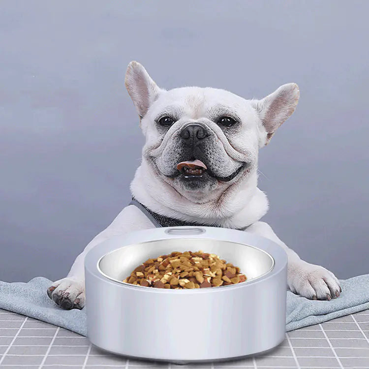 Large Capacity Detachable Stainless Steel Dog Feeder