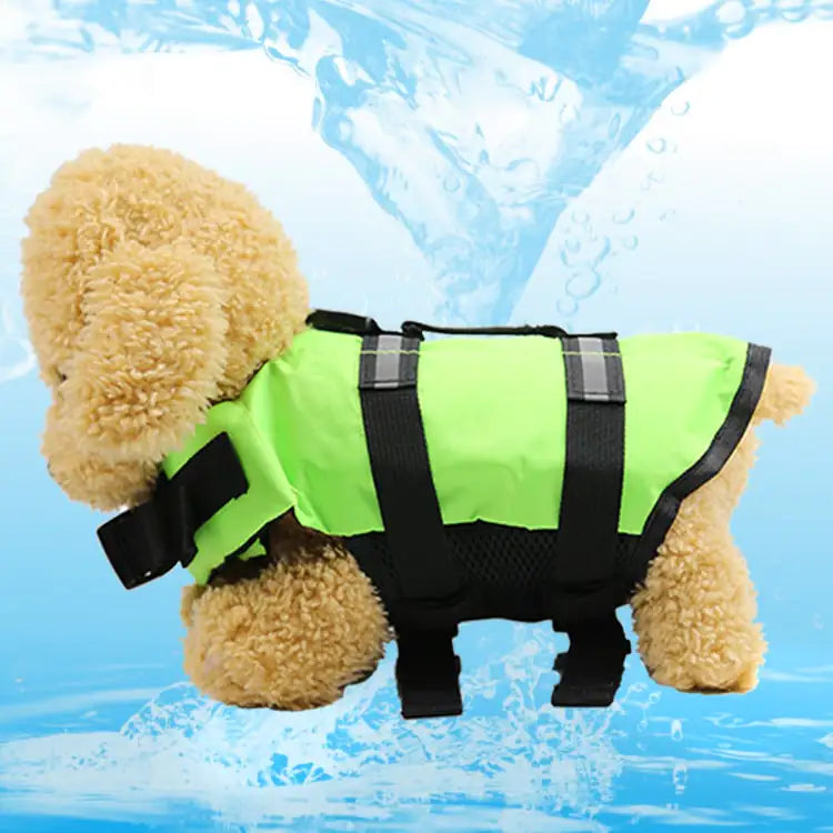 Essential Dog Gear – Life Jacket Swimsuit For Water Safety