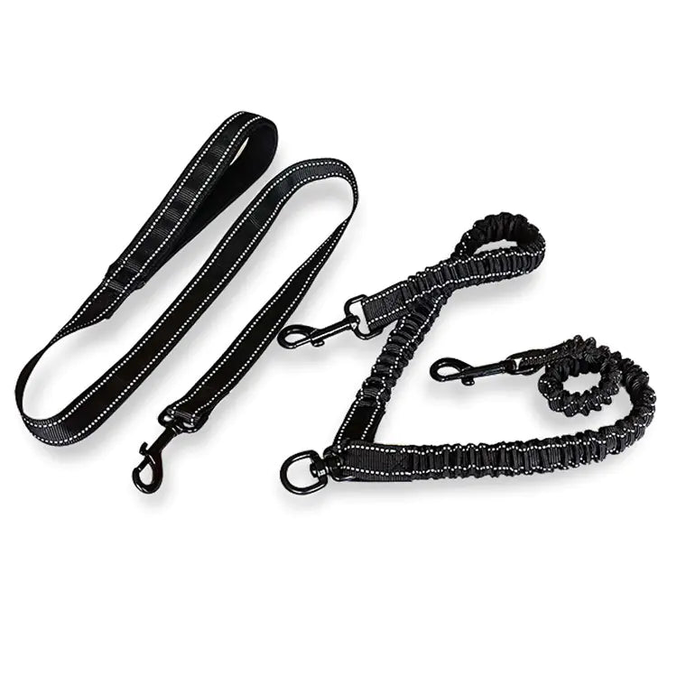 Stylish Dog Leash – Dual  Leash With Reflective Features
