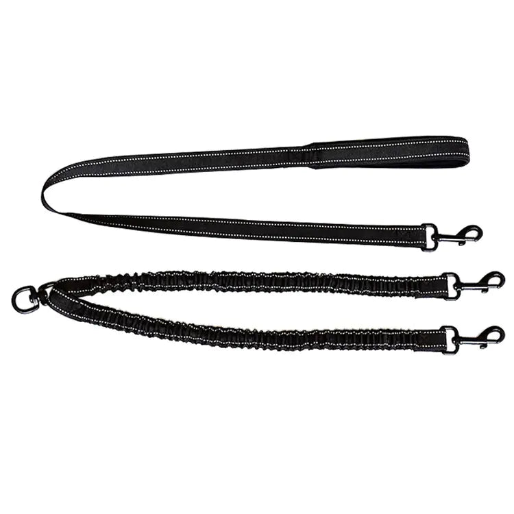 Stylish Dog Leash – Dual  Leash With Reflective Features